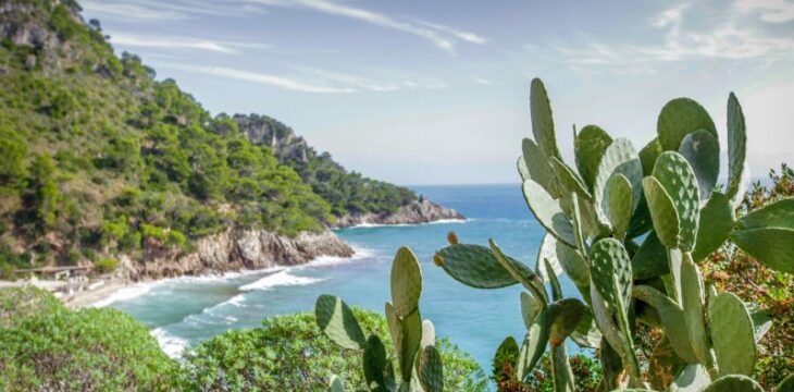 Scoprire la serenità costiera: le destinazioni d’eccellenza della Sicilia per relax e rigenerazione